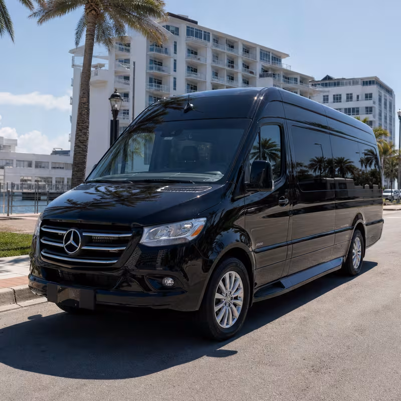 14 Passenger Sprinter Limo