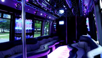 22 people Hollywood party bus