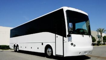 40 Passenger party bus Doral